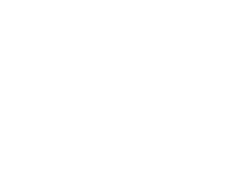 Link Productions Inc